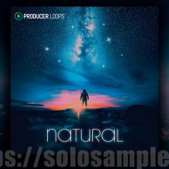 Producer Loops Natural MULTi