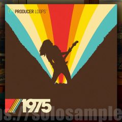 Producer Loops 1975 WAV-MiDi