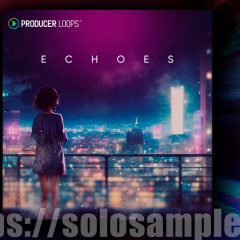 Producer Loops Echoes MULTi