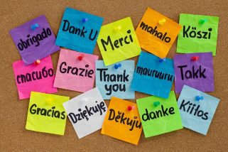 THANK YOU FOR YOUR SUPPORT…