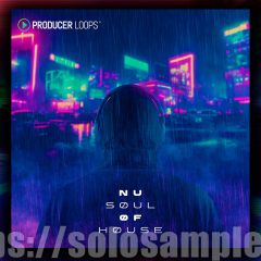 Producer Loops Nu Soul of House MULTi