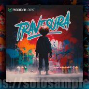 Producer Loops Travesura Latin MULTi