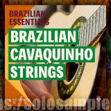 Brazilian Cavaquinho Strings WAV