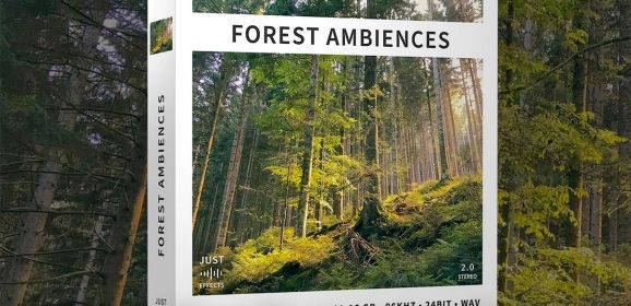 JSE Forest Ambiences WAV