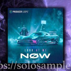 Producer Loops Look At Me Now MULTi