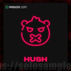 Producer Loops HUSH POP MULTi