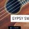 Pulsed Records Gypsy Swing WAV