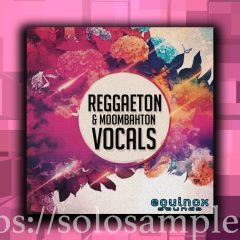 Reggaeton-Moombahton Vocals WAV-MiD