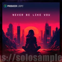 Producer Loops Never Be Like You WAV