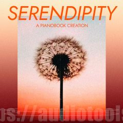 Joshua Meltzer Serendipity KONTAKT