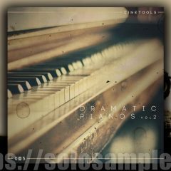 Cinetools Dramatic Pianos Vol2 WAV-MiD