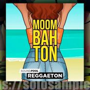 MAGIX Moombahton Part 1 WAV
