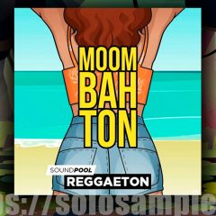 MAGIX Moombahton Part 1 WAV