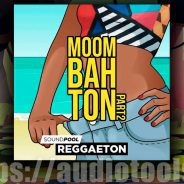 MAGIX Moombahton Part 2 WAV