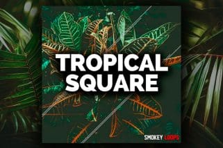 Tropical Square House WAV-MiDi