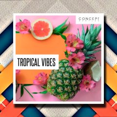 Concept Samples Tropical Vibes WAV