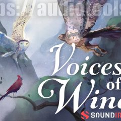 Soundiron Voices of Wind KONTAKT