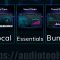 Tuned Vocal Bundle 2024-9 MAC