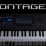 Yamaha Montage M v3-0-0 WiN-VR