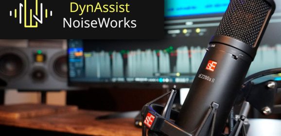 NoiseWorks DynAssist v2-1-4 WiN