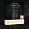 Evolution 10 String Stick v1-2-5 KONTAKT