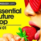 Essential Future Pop Vol1 WAV-MIDI