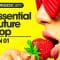 Essential Future Pop Vol1 WAV-MIDI