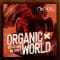 Organic Loops Organic World MULTi