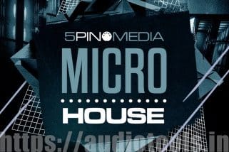 5Pin Media Micro House MULTI