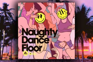Basement Freaks Naughty Dancefloor WAV