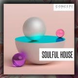 Concept Samples Soulful House WAV