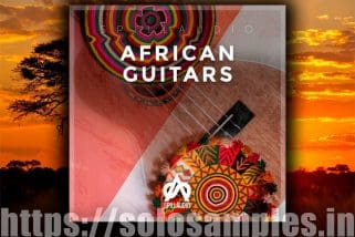 Spillaudio African Guitars WAV
