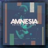 New Nation Amnesia Guitar WAV-MiDi