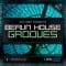 Berlin House Grooves 01 WAV