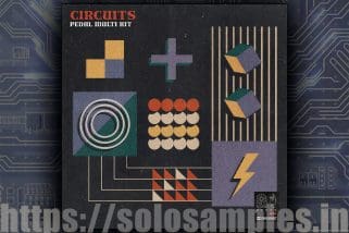Circuits Pedal Multi Kit WAV