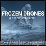 Frozen Drones Samples WAV