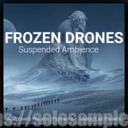 Frozen Drones Samples WAV