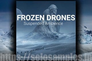 Frozen Drones Samples WAV