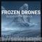 Frozen Drones Samples WAV