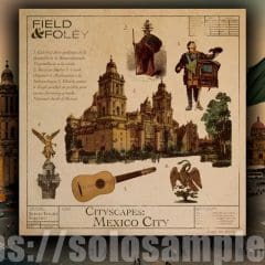 Cityscapes Mexico City WAV