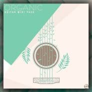 New Nation Organic Guitar WAV-MiDi