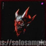 Raging Rawstyle Vocals Vol1 MULTi