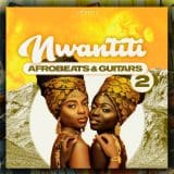NWANTITI 2 Afrobeats-Guitars WAV-MiD