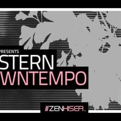 Zenhiser Eastern Downtempo WAV